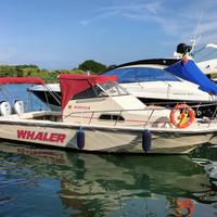 Boston Whaler 25 WA