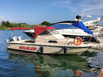 Boston Whaler 25 WA