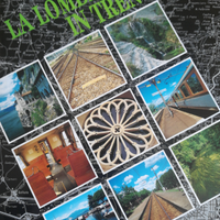 Libro ferrovie nord La LOMBARDIA IN TRENO