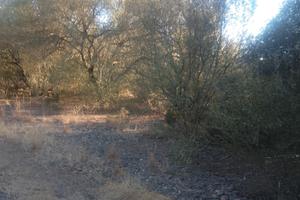 Terreno agricolo