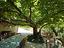Immagine 27