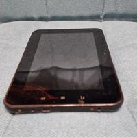 Exagerate Zelig Pad 700