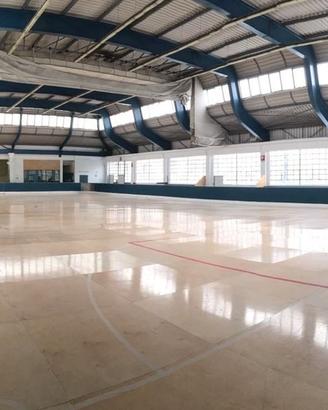 Pista di pattinaggio