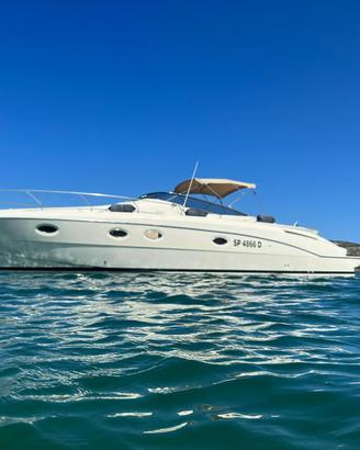 Sarnico Spider 43