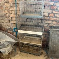 Gabbie professionali 45