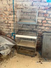 Gabbie professionali 45