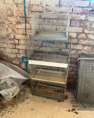 Gabbie professionali 45