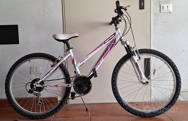 Mountain Bike Micheletto