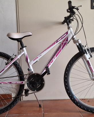 Mountain Bike Micheletto