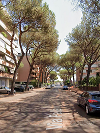 CAPANNELLE ELEGANTE TRILOCALE ARREDATO