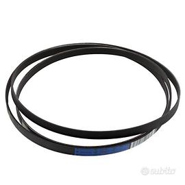 Cinghia per asciugatrice.