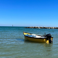 Vendita barca dislocante