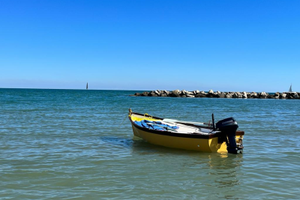 Vendita barca dislocante