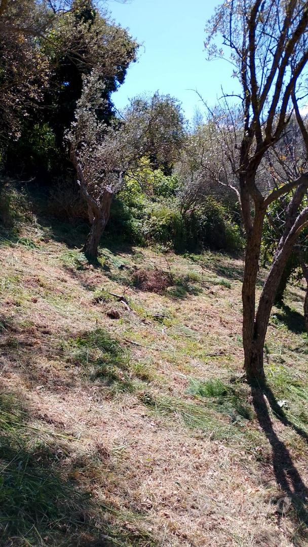 Terreno edificabile, Casa , Rudere , Casale antic - Vista 3