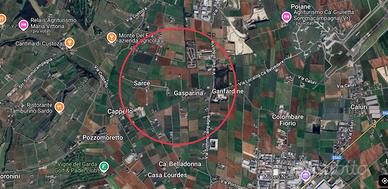 Terreno agricolo a Sommacampagna