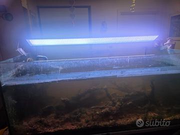 acquario aperto