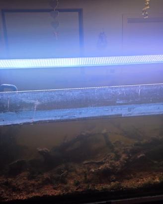 acquario aperto