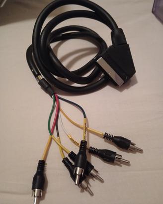 Presa scart audio video analogico