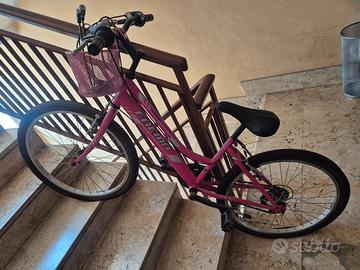 bicicletta 