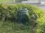 Immagine 1