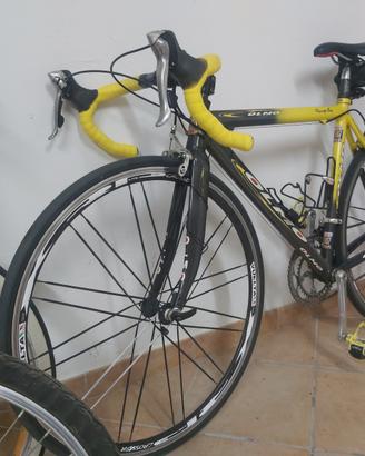 bici da corsa Olmo