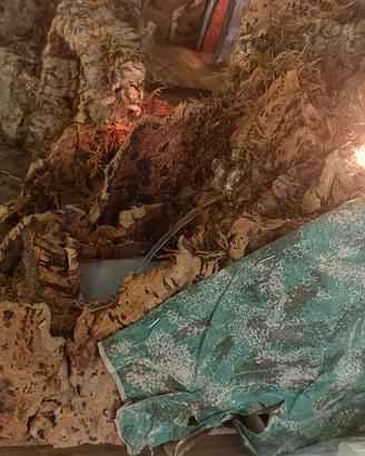 Presepe in Sughero Fatto a Mano con Luci

 (San Gr