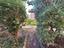 Immagine 22