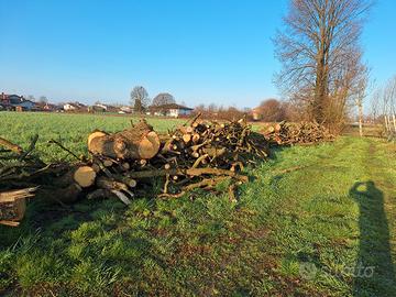 legna da ardere  di rovere 