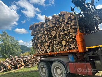 Legna da ardere 