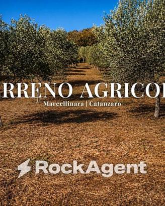 Terreno di 23500 m² a Marcellinara