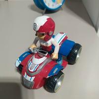 Paw patrol raider