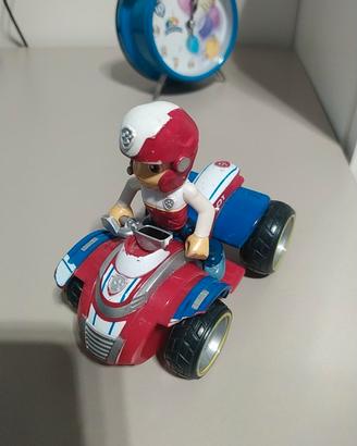 Paw patrol raider