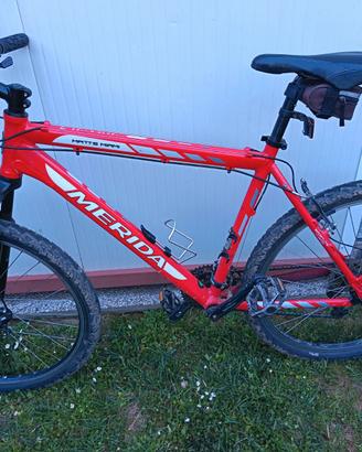 Mtb  26 pollici