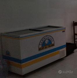 freezer Sammontana 