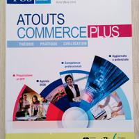 atouts commerce plus,théorie pratique civilisation
