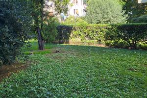 Bilocale via Venosta