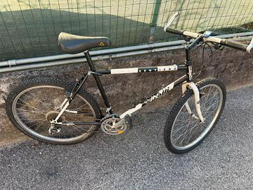 Rampichino cinelli