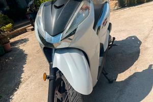 Sh 300 abs 2019