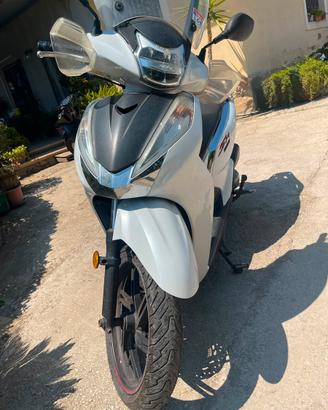 Sh 300 abs 2019