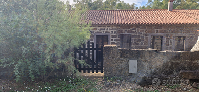 Casa Ghilarza Novenario Trempu