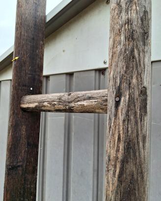 scala in legno