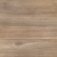 Piastrella in gres 20x120 MQ DISPONIBILI 20.16