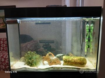 Acquario lt 130 Askoll Pure XL HC Led con mobile