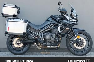 Triumph Tiger 800 XRx LOW - 2019