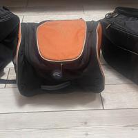 Valige morbide kappa