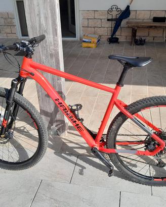 mtb 29
