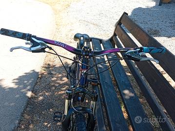 bicicletta 