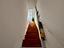 Immagine 24