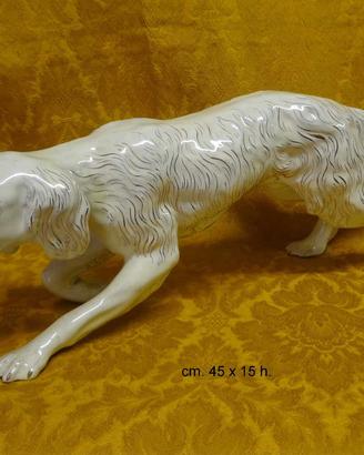 Cane ceramica anni '50