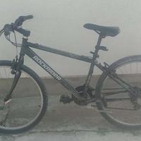 bicicletta